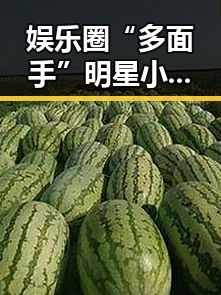 娱乐圈“多面手”明星小明的崛起与转变引发关注