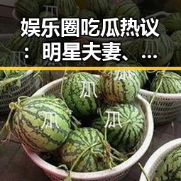 娱乐圈吃瓜热议:明星夫妻、网红崛起引发讨论